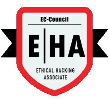 Ethical Hacking Training in Qatar